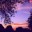 tramonto