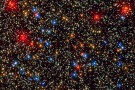 stelle