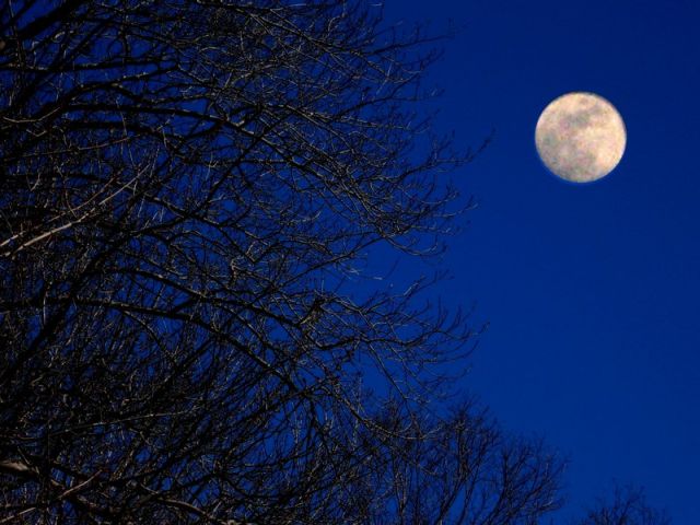 How high the Moon