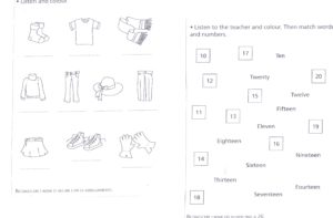 esercizi inglese have got da stampare