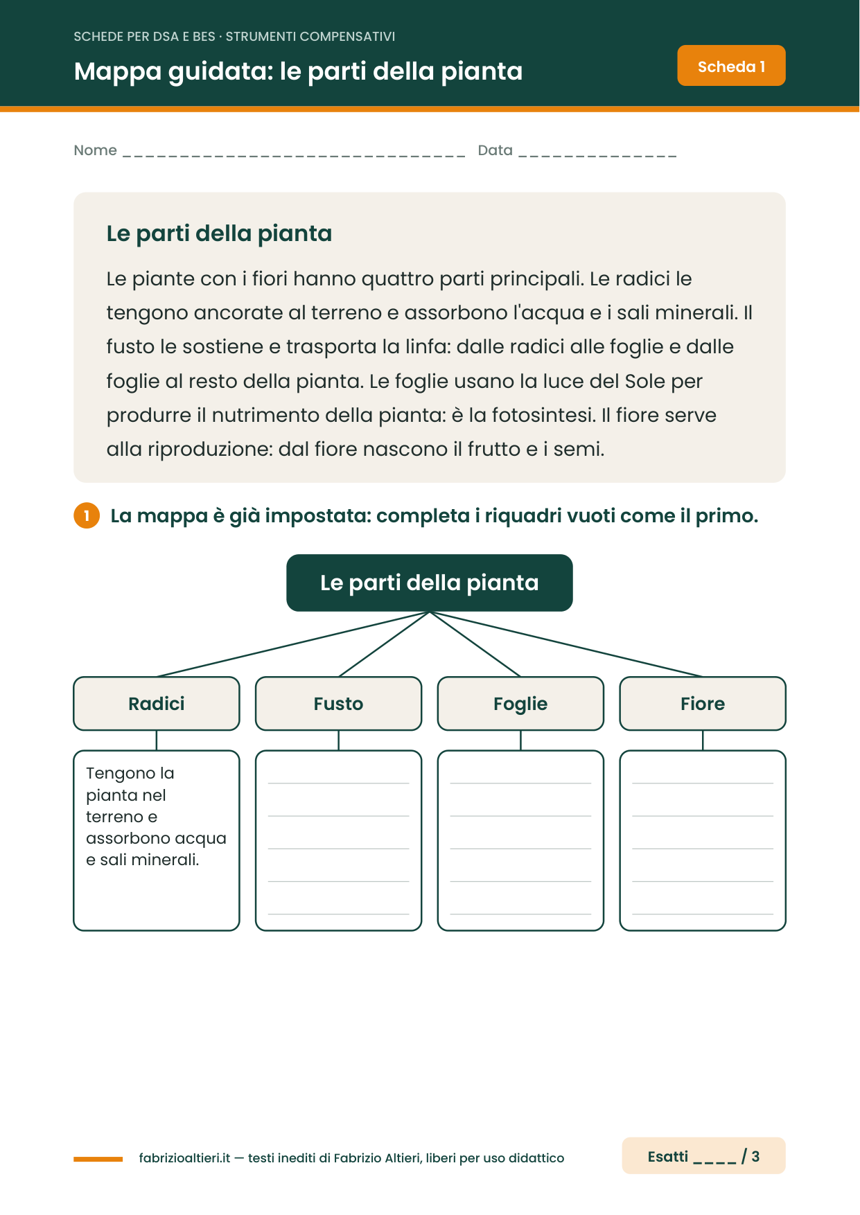 Strumenti compensativi per DSA: mappa concettuale guidata da completare