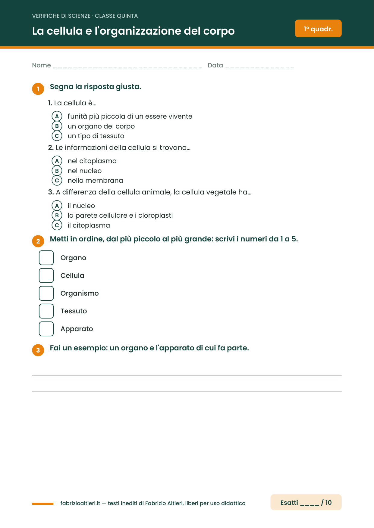 Verifica di scienze classe quinta: la cellula e l'organizzazione del corpo